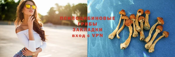 индика Верхнеуральск